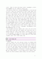 한국 패션브랜드의 글로벌 마케팅 전략 5페이지
