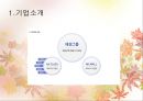 AK몰 마케팅 발표 프레젠테이션 3페이지