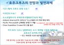 호주크루즈시장 정책과 전망 25페이지