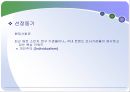 개인주의 트렌드 분석  2페이지