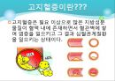 고지혈증 4페이지