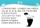 고지혈증 17페이지