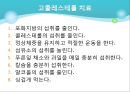 고지혈증 33페이지