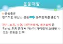 고지혈증 37페이지