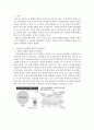 [방통대 A+] 1학년 2학기 유아교육학과 인간과 사회 중간과제물 B형 :  사회 불평등과 합리화 3페이지