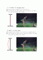 - 아이언에 대하여 5페이지