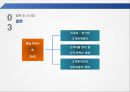 SNS와  Big Data를  활용한 삼성생명 29페이지