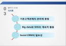 SNS와  Big Data를  활용한 삼성생명 30페이지