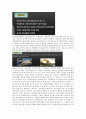 한양싸이버 음식과 세계문화 중간고사 범위A+족보 50페이지