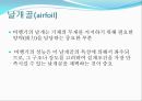 날개골 단면 양력 항력 3페이지