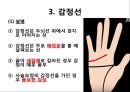 손금과역술 11페이지