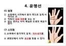손금과역술 13페이지