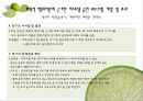[건강증진이론] 계획적 행위이론 13페이지