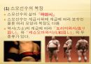 스모  26페이지