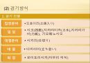스모  31페이지