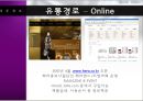 HERA 성공사례 [HERA 기업분석, HERA 환경분석, HERA 4P분석, HERA 경쟁사분석, HERA SWOT 분석, HERA 향후 방향] 27페이지