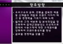 HERA 성공사례 [HERA 기업분석, HERA 환경분석, HERA 4P분석, HERA 경쟁사분석, HERA SWOT 분석, HERA 향후 방향] 38페이지