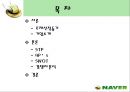 인터넷포털 ‘네이버(NAVER)’의 마케팅전략 분석  2페이지