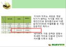 인터넷포털 ‘네이버(NAVER)’의 마케팅전략 분석  11페이지