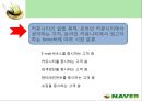 인터넷포털 ‘네이버(NAVER)’의 마케팅전략 분석  18페이지
