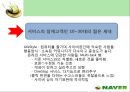 인터넷포털 ‘네이버(NAVER)’의 마케팅전략 분석  19페이지