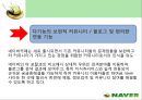 인터넷포털 ‘네이버(NAVER)’의 마케팅전략 분석  20페이지