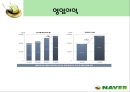 인터넷포털 ‘네이버(NAVER)’의 마케팅전략 분석  21페이지