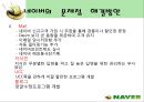 인터넷포털 ‘네이버(NAVER)’의 마케팅전략 분석  31페이지