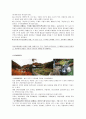★ 관광사업론 - 공주시 관광상품 ( 자연자원, 역사문화자원, 축제, 특산물, 음식, 교통편, 숙박, 일정, 활성화방안 ) 20페이지