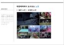 집단 이미지 10페이지