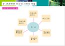 전환교육 수행 전략 31페이지
