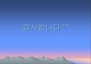 산동성, 산서성 조사, [산동성 산서성 개황, 산동성 요리, 관광지 및 산동성 당면과제, 산동성 이미지, 산동성과 산서성의 유명인, 청도맥주축제와 한국기업 진출] 33페이지