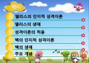 엘리스와 벡의 인지적 성격이론  2페이지