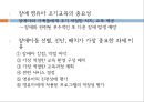 영유아기 교육적접근 4페이지