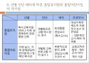 영유아기 교육적접근 11페이지