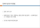 영유아기 교육적접근 14페이지