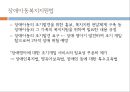 영유아기 교육적접근 15페이지