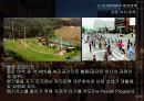 꿈의 도시  CURITIBA 재미와 장난이 만든 생태도시 이야기 13페이지