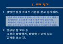 아메리칸 뷰티 (American beauty)  2페이지