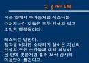 아메리칸 뷰티 (American beauty)  6페이지