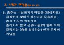 아메리칸 뷰티 (American beauty)  10페이지