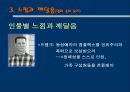 아메리칸 뷰티 (American beauty)  14페이지