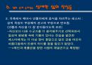 아메리칸 뷰티 (American beauty)  26페이지