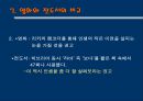 아메리칸 뷰티 (American beauty)  29페이지