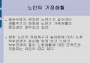 노인가정 10페이지