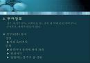 항균요법  11페이지