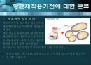 항균요법  13페이지
