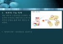 항균요법  14페이지