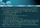 항균요법  19페이지