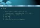 항균요법  26페이지